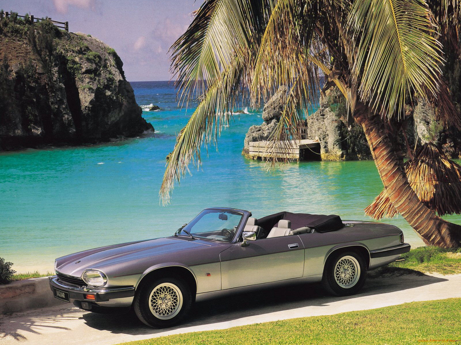 , jaguar